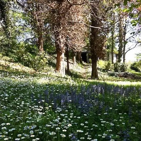 Agata Bed & Breakfast Reggio nell'Emilia