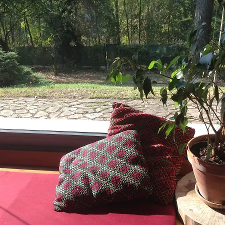 Agata Reggio nell'Emilia