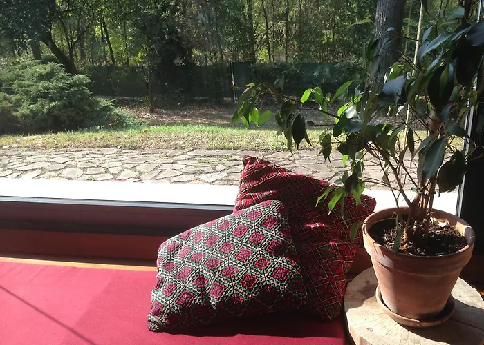 Agata 雷焦艾米利亚