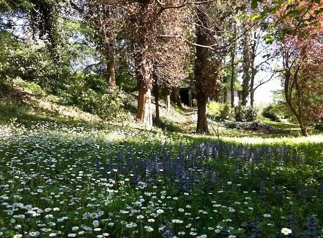 Agata Couette-café Reggio d'Emilie